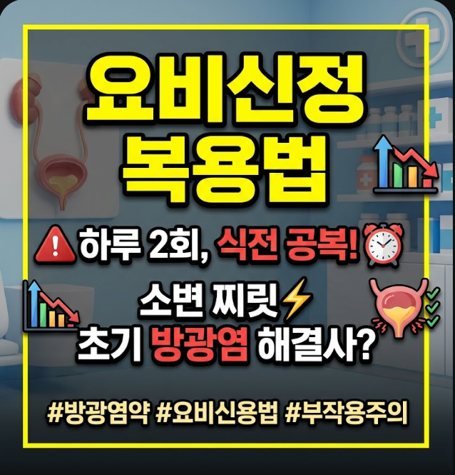 요비신 복용법